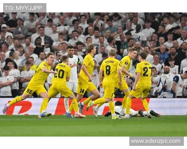 卡迪夫主场迎战布莱顿期待精彩对决双方争夺宝贵积分