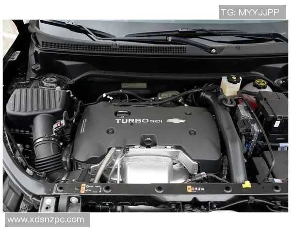 塞萨洛与莫斯巴达激战在即谁能在这场对决中笑到最后